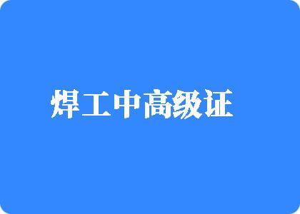 19白虎啊逼焊工中高级证